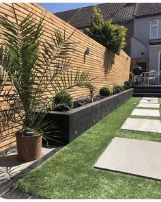 an outdoor garden with grass and plants