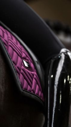 the back end of a horse's bridle with purple and black trim