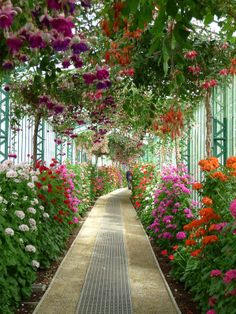 a walkway lined with lots of colorful flowers