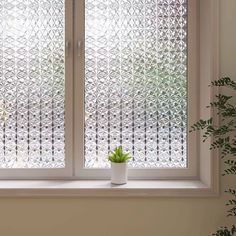 a potted plant sitting on top of a window sill next to a window