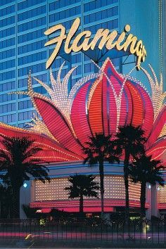 the flamingo hotel in las vegas is lit up with neon lights and palm trees