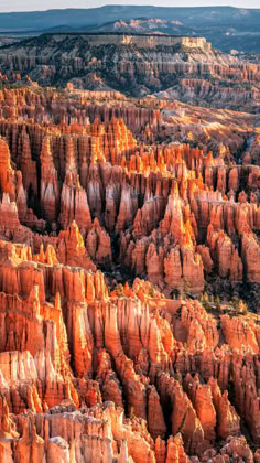 an aerial view of the hoodoos at sunrise or sunset, with mountains in the distance