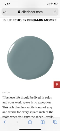 the color blue echo by benami moore is shown on an iphone screen, and it appears to be gray