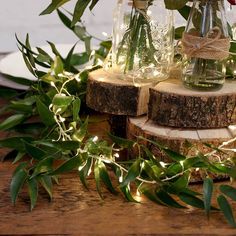 some flowers are in glass vases on top of wooden slices with string lights around them