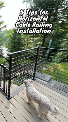 a white dog standing on top of a wooden deck next to a metal hand rail