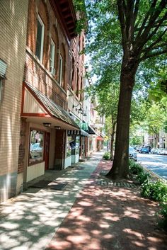 an empty sidewalk in front of a brick building with trees on both sides and shops across the street from it