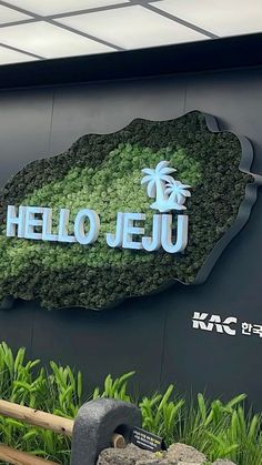 there is a sign that says hello jeju in front of some grass and rocks