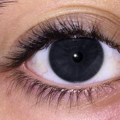 Dark Grey Eyes, Pretty Eyes Color, Gray Eyes, Dark Eyes, Hazel Eyes, Pretty Eyes