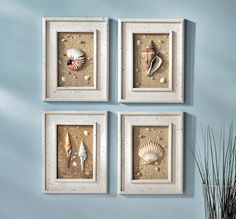 four seashells are mounted in white frames on the wall, along with shells