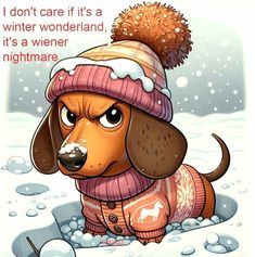 a brown dog wearing a pink hat and sweater with a pom - pom on it's head