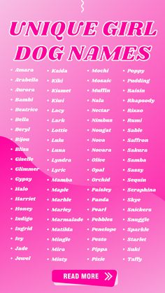 unique girl dog names Cute Dog Names Female Unique, Coquette Dog Names, Names For Dogs Female, Cute Female Puppy Names, Name For Puppies, Female Dog Names Unique List, Cute Names For Puppies, Cute Dog Names Unique, Cute Dog Names Female