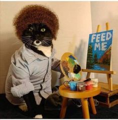 a black and white cat sitting on top of a table next to a easel