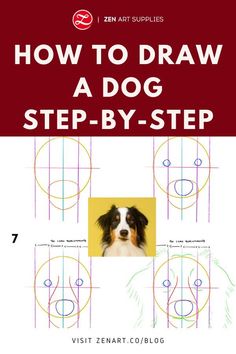 how to draw a dog step - by - step for beginners with pictures and instructions