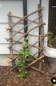 a wooden trellis next to a garage door with a plant growing out of it