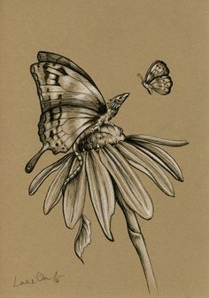 a drawing of two butterflies flying over a flower