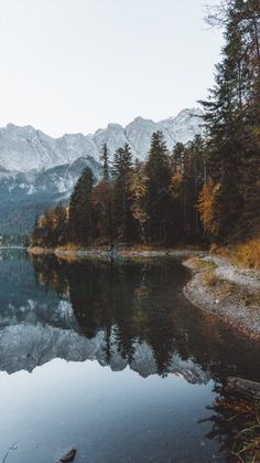 a body of water surrounded by trees and mountains