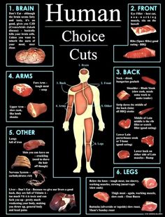 the human choice cuts chart shows how many different foods are in each individual body and what they