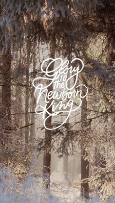 an image of the woods and trees that are covered in snow with words written on them