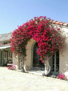 pink flowers are growing on the side of a building