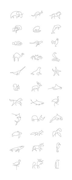 the different types of animals that can be seen in this drawing