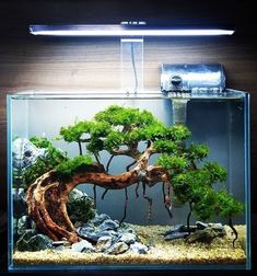 a bonsai tree in an aquarium with rocks and gravel around it, under a light