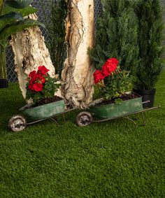 a wheelbarrow filled with red flowers sitting on top of green grass