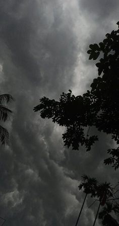 the sky is filled with dark clouds and palm trees