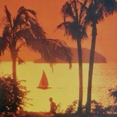 an orange sunset with palm trees and a sailboat in the water