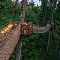 a rope bridge in the middle of a forest with lights strung from it's sides