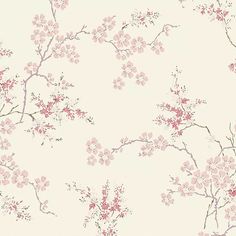 Laura Ashley Oriental Blossom Blush Wallpaper Blossom Wallpaper, Soft And Feminine, Blush Wallpaper, Blossom Print, Blush Tones, Graham & Brown, Soft Floral, Woven Paper, Shades Of Pink