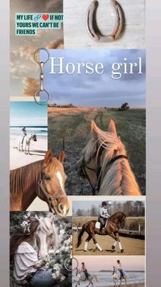 Cute Horse Wallpaper Aesthetic, Wallpaper Backgrounds Horses, Photo Cheval Aesthetic, Cute Horses Wallpapers, Horse Images Beautiful, Pretty Horse Pictures, Aesthetic Horse Pictures