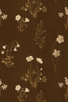 a brown background with white flowers on it