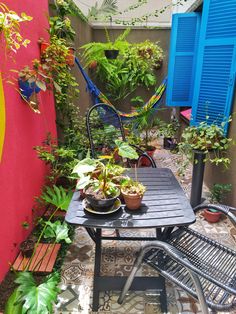 an outdoor patio with potted plants on the table and blue shutters in the background