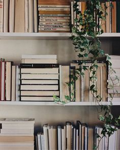 several books are on shelves with plants growing out of the top one and bottom two