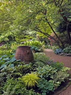 a garden filled with lots of green plants next to a path through trees and bushes