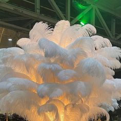 large white feathers hanging from the ceiling in an indoor area with lights and people standing around