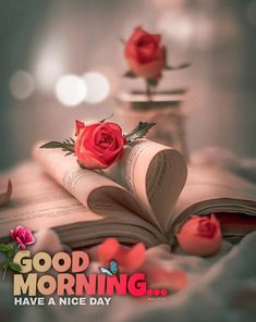 an open book with roses on it and the words good morning have a nice day