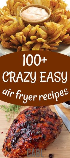 the cover of 100 + crazy easy air fryer recipes