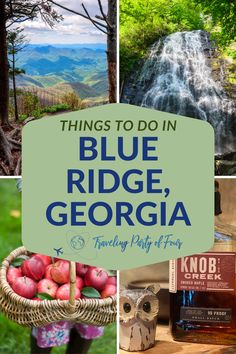 things to do in blue ridge, georgia