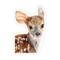 a sticker with an image of a baby deer