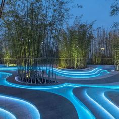 an outdoor area with blue lights and bamboo trees