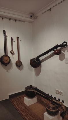 there are many musical instruments hanging on the wall in this museum display area, including an old - fashioned instrument