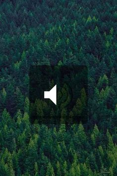 an arrow pointing to the left in front of a forest with lots of green trees