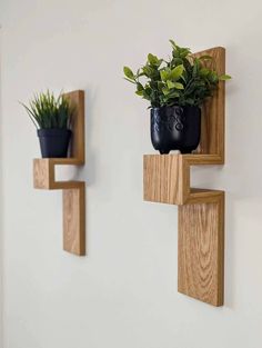 two wooden shelves with plants on them