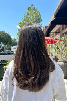 A picture of medium-length brown hair with soft, natural layering. The layers start around chin-length, adding volume and texture to the style. The hair has a healthy shine, with warm brown tones that reflect the light, creating a subtle gradient effect. The ends are slightly feathered, giving the overall look a relaxed, effortless vibe. The layers enhance the movement of the hair, making it appear full and dynamic. #hair #hairstyles #haircut #haircolor #haircare #hairgoals #hairstylesformen #hairstylesforthinhair #haircut #haircutsforwomen #haircutting #layers #hairlayers Soft Layers Thick Hair, Light Layered Haircuts For Medium Hair, Round Soft Layers, Light Layered Haircut, Gradient Haircut, Feathered Ends Haircut, Soft Rounded Layers Medium Hair, Medium Layers Hair, Mid Length Hair With Layers V Shape