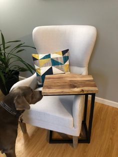 a dog is looking at a wooden table on the floor next to a white chair