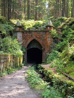 a stone tunnel in the middle of a forest with trees and bushes on both sides