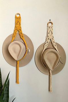 two hats hanging on the wall next to a plant