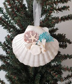 an ornament hanging from a christmas tree decorated with seashells and starfish