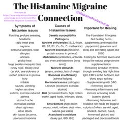 Migraine Journal, Vestibular Migraines, Prevent Headaches, Migraine Diet, Migraine Help, Histamine Intolerance, Low Histamine Diet, Migraine Prevention